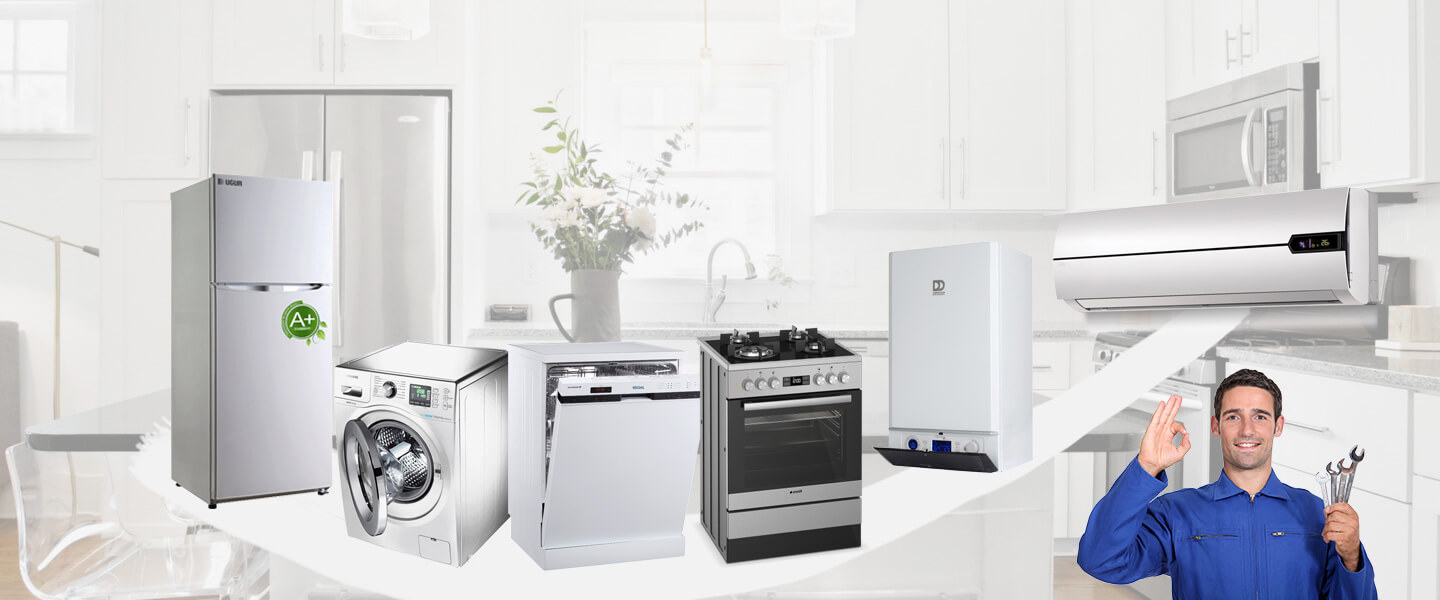 Basınsitesi Smeg Servisi